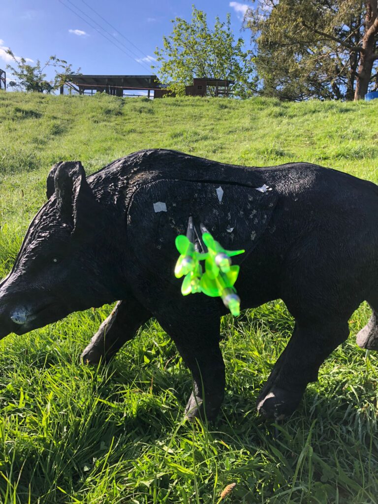 X-Fletch 50mm Shield
Well Done Wei Li